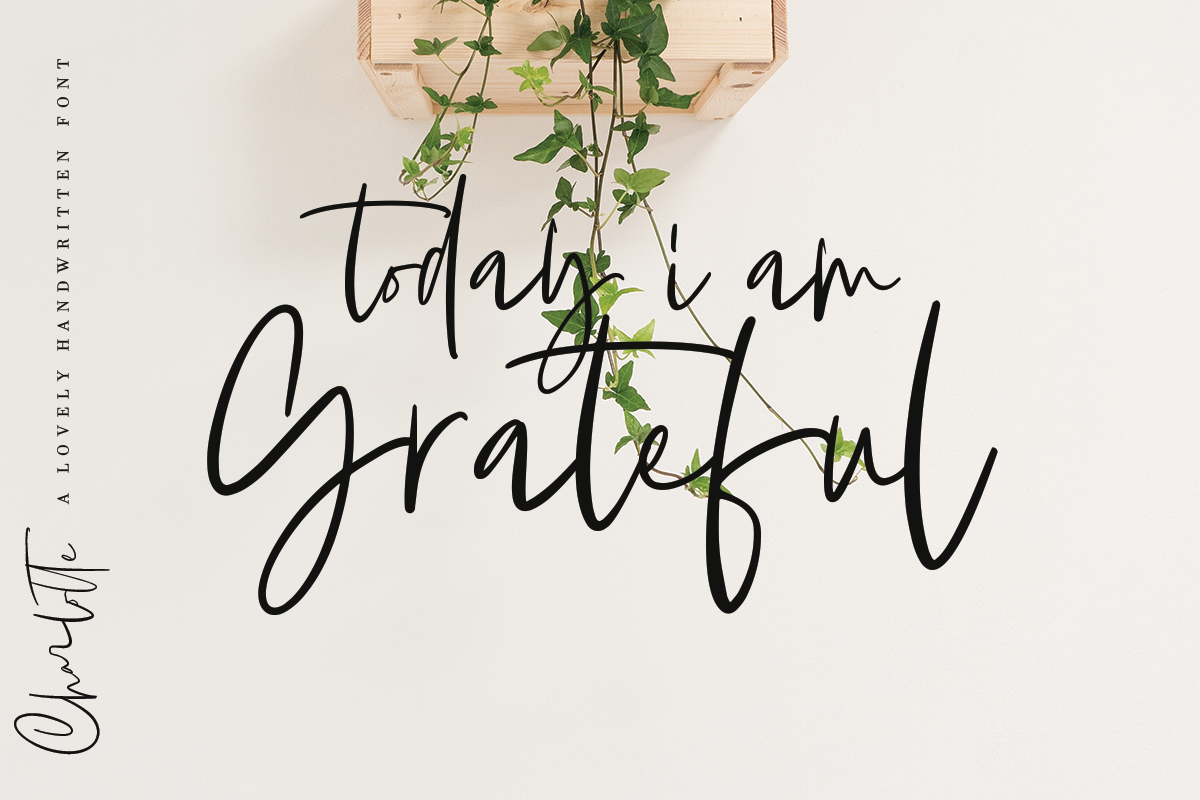 Charlotte | Handwritten Font preview 6