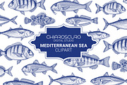 Mediterranean Sea Vector Clipart Set, an Animal Illustration by Pingebat (Thumbnail 1 of 15)