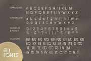 Corgale - Elegant Sans, a Sans Serif Font by ErgibiStudio (Thumbnail 9 of 10)
