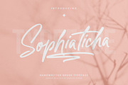 Sophiaticha Handwritten Brush, a Script Font by Creatype Studio (Thumbnail 1 of 9)