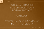 Kvell - elegant display typeface, a Serif Font by Only Fonts (Thumbnail 8 of 10)