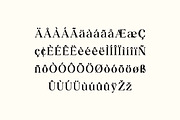 Golden Heritage Retro Serif Font, a Serif Font by UICreative (Thumbnail 3 of 13)