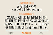 Vangeda - Modern Serif Font, a Font by agnyhasyastudio (Thumbnail 8 of 9)
