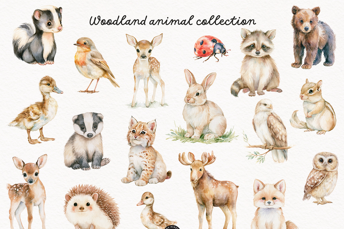 Woodland Atelier Clipart Bundle, an Animal Illustration by PaintPixelCo (Photo 7 of 15)