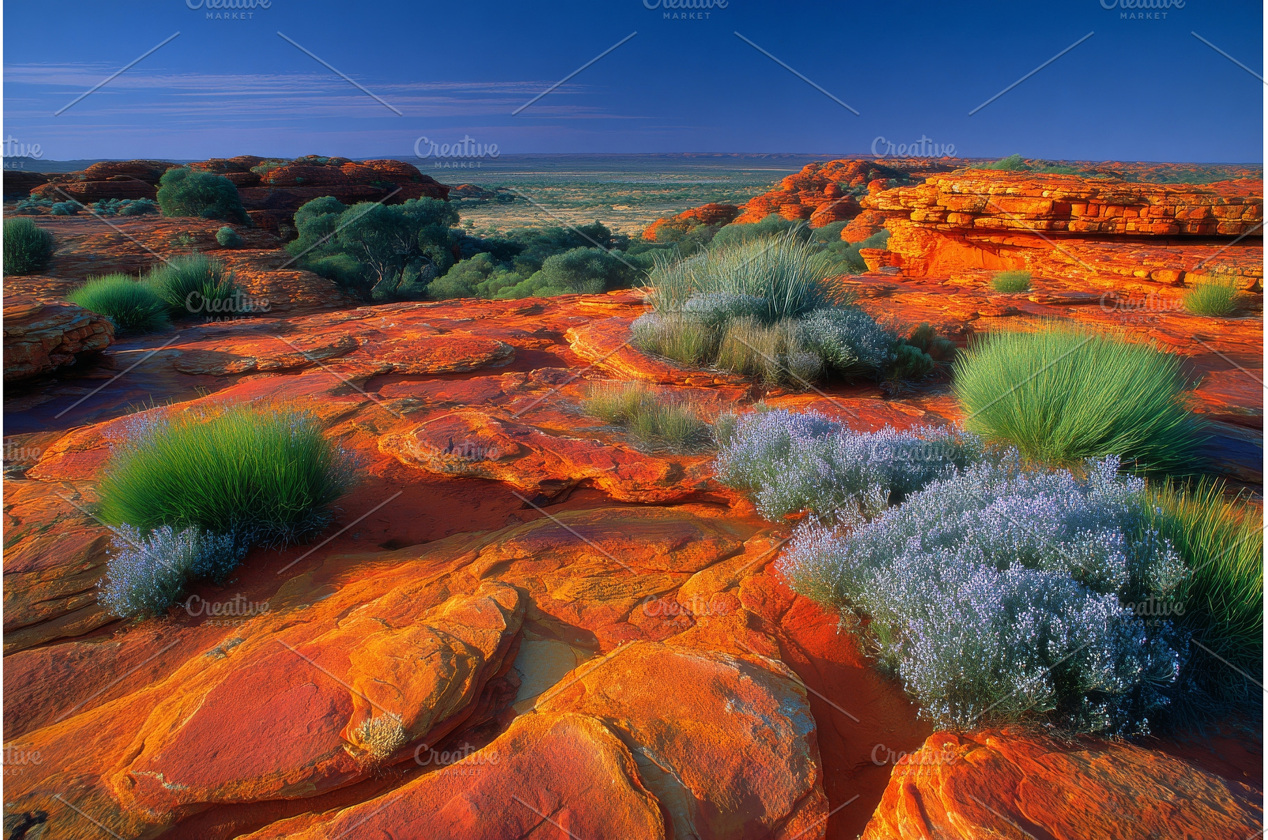 A view of the Kings Canyon in the, a Nature Photo by ZinetroN