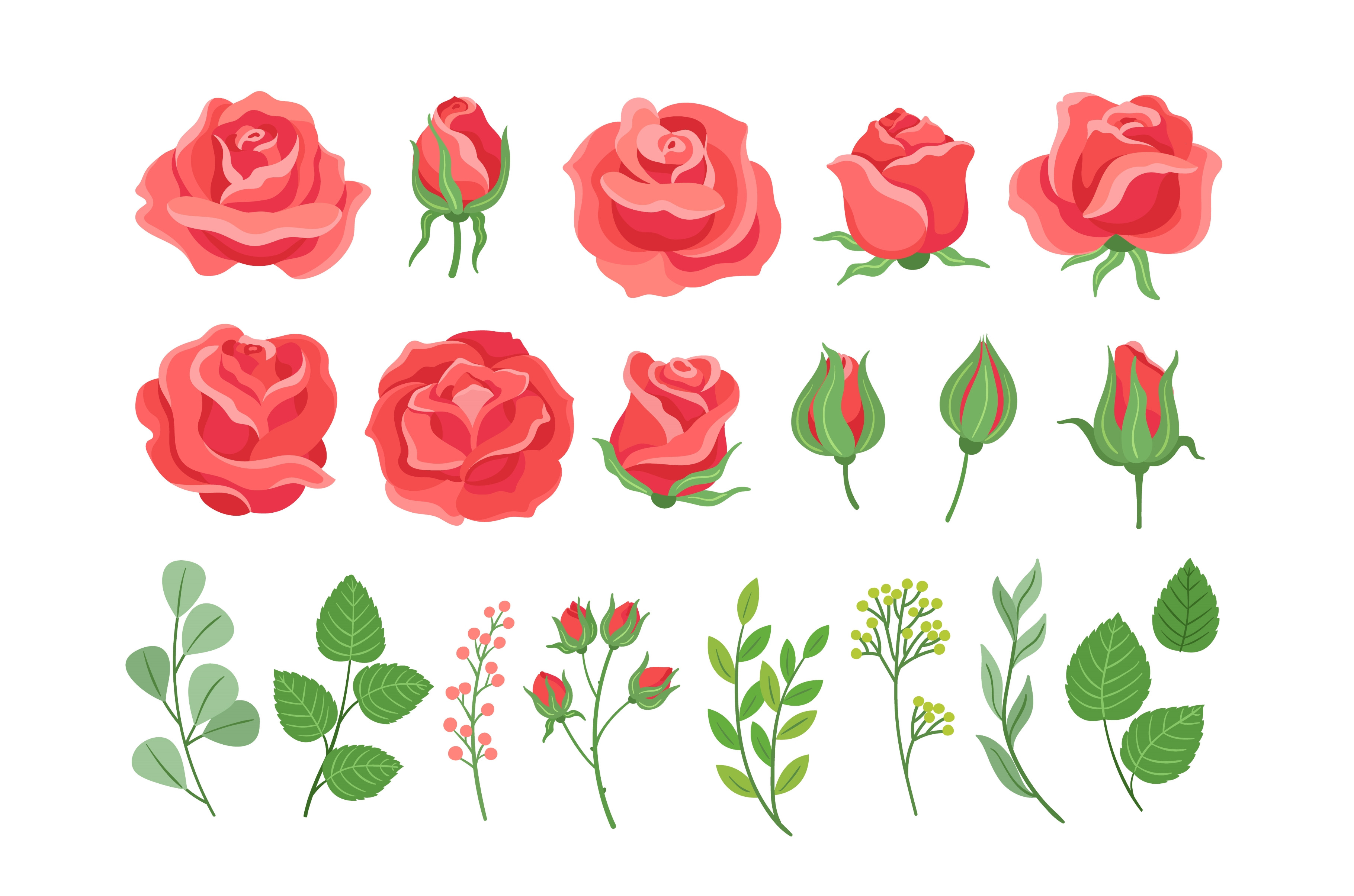 Red roses cartoon. Burgundy rose and, a Background Graphic by LadadikArt