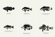 Fish Illustrations, an Object Graphic by Nomad Visuals (Thumbnail 11 of 11)
