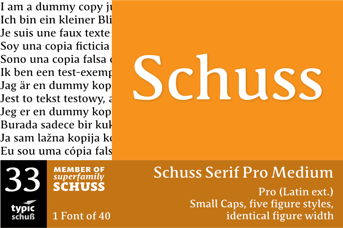 SchussSerifProMedium No.33 (1 Font)