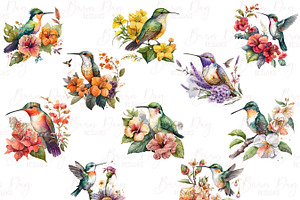 Fairy Hummingbird Floral Clipart