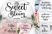 Font Collection Bundle, a Script Font by Zane Studio (Thumbnail 21 of 21)