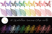 88 Skeleton Leaves PNG, an Object Graphic by Alexandra Fulger (Thumbnail 2 of 6)