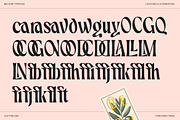 Belvare - Retro Aesthetic Serif, a Serif Font by CCS Type (Thumbnail 22 of 22)
