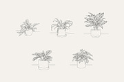 House Plant-Vector Illustration Pack, an Illustration by Lovendear Design (Thumbnail 6 of 9)