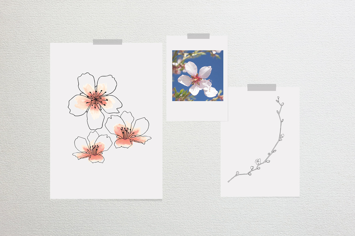 Almond Blossom, an Illustration by R.DesignStudio (Photo 3 of 11)