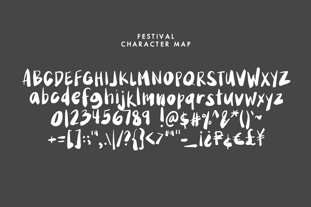Festival — A Handwritten Font Duo preview 2