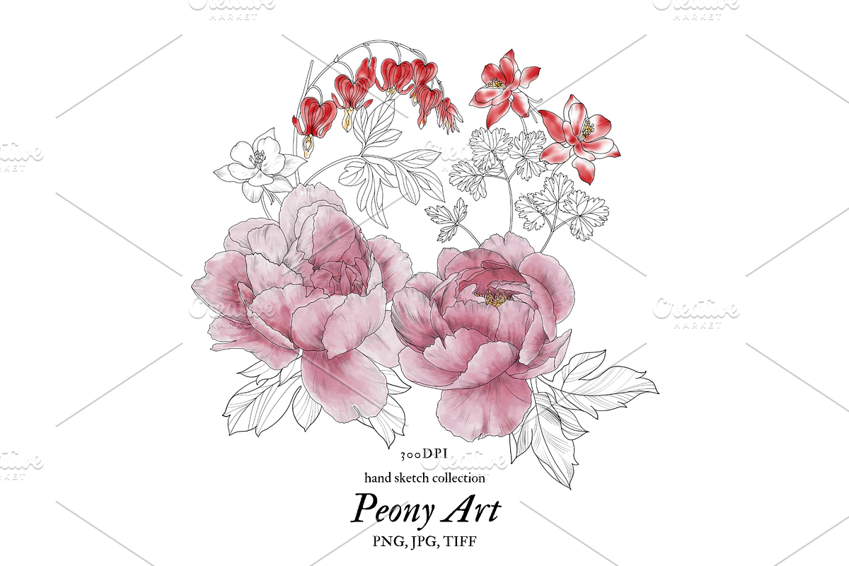 Peony Art, an Object Graphic by VictoriaKStudio (Photo 1 of 4)