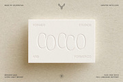 Elio & Oliver Ultra Light Sans Serif, a Sans Serif Font by SilverStag Type Foundry (Thumbnail 9 of 11)