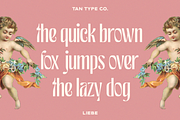 TAN - LIEBE, a Font by TanType (Thumbnail 11 of 12)