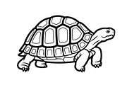 Turtle Line Art Illustration Bundle, an Illustration by Creativeshirt (Thumbnail 44 of 48)