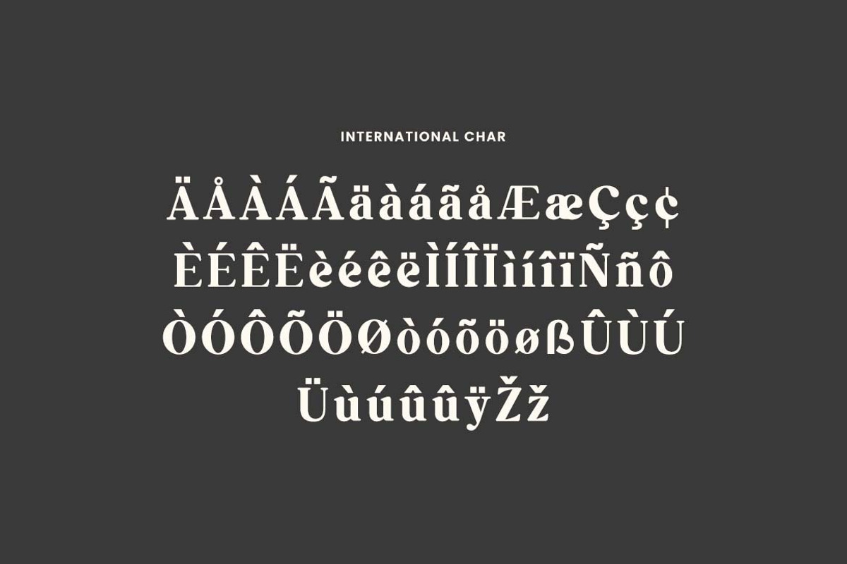 Retrospection Retro Serif Font, a Serif Font by UICreative (Photo 11 of 13)