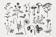 Vector Animals & Summer Flowers Set, a Seasonal Illustration by Yevheniia (Thumbnail 3 of 14)