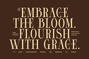 Soloe Elegant Serif Font, a Serif Font by Perfectype (Thumbnail 4 of 8)