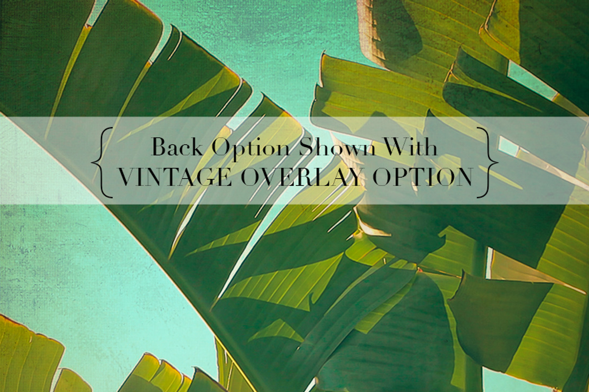 Save the Date Cards:: TROPICAL/RETRO, an Invitation Template by Ari Photography (Photo 9 of 9)