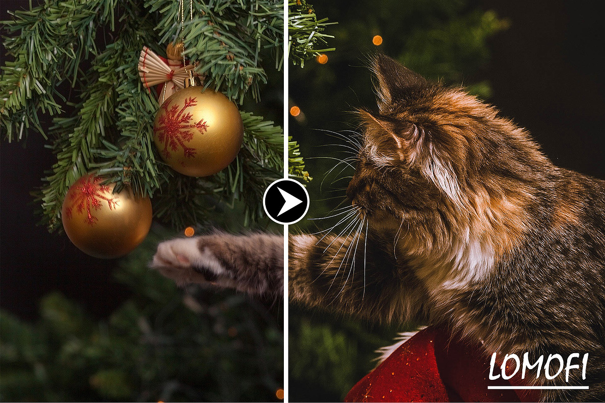XmasDelight - 100 Lightroom Presets, an Action Add-On by KnightWipers (Photo 8 of 15)