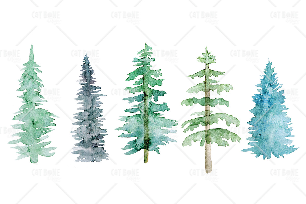 Watercolor Pine Trees, an Illustration by CatBoneDesign (Photo 2 of 4)