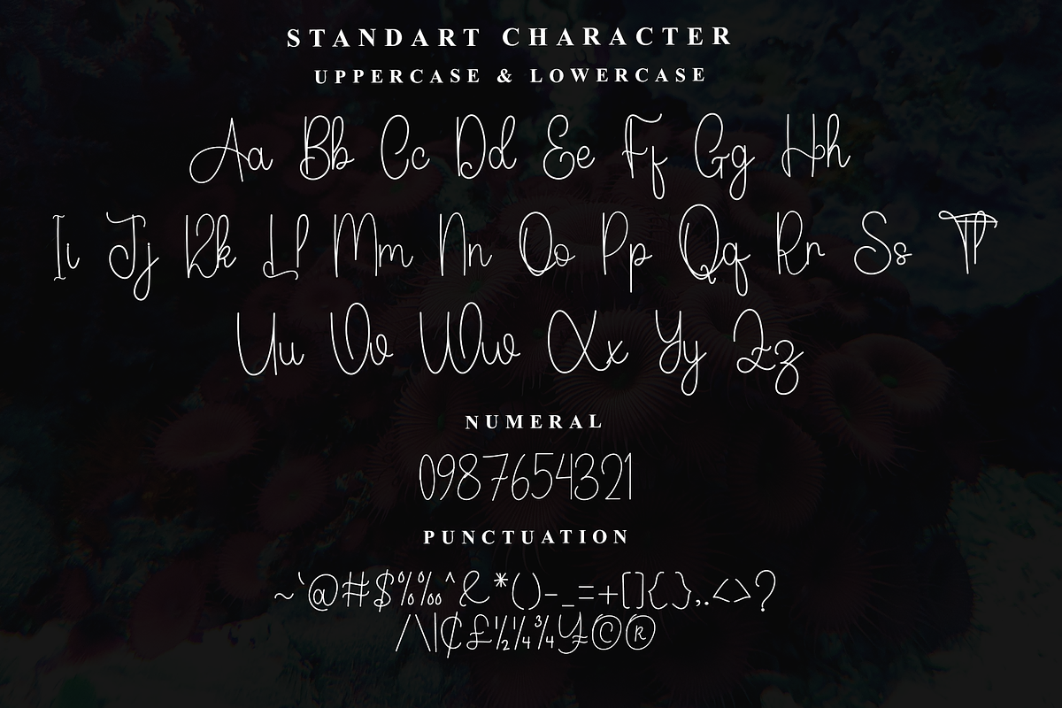 Quantity, a Sans Serif Font by InermediaSTUDIO (Photo 2 of 7)