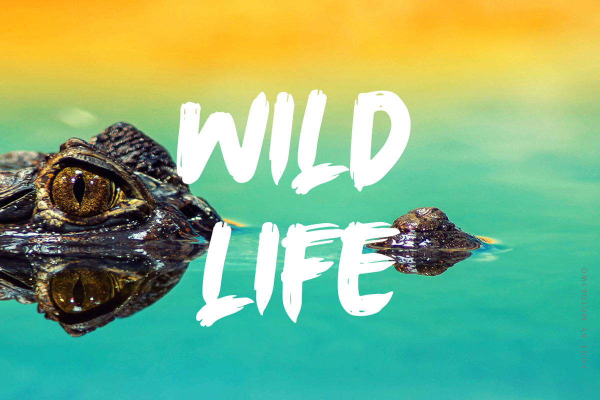 Wkwkwk - Strong Bold Typeface preview 2