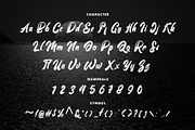 Voldory Modern Script Font, a Script Font by edukka (Thumbnail 5 of 7)