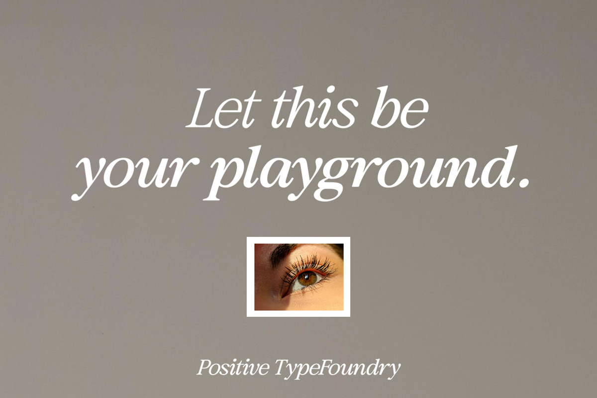 Results Letter Family (18 Fonts), a Serif Font by Positive TypeFoundry (Photo 3 of 17)