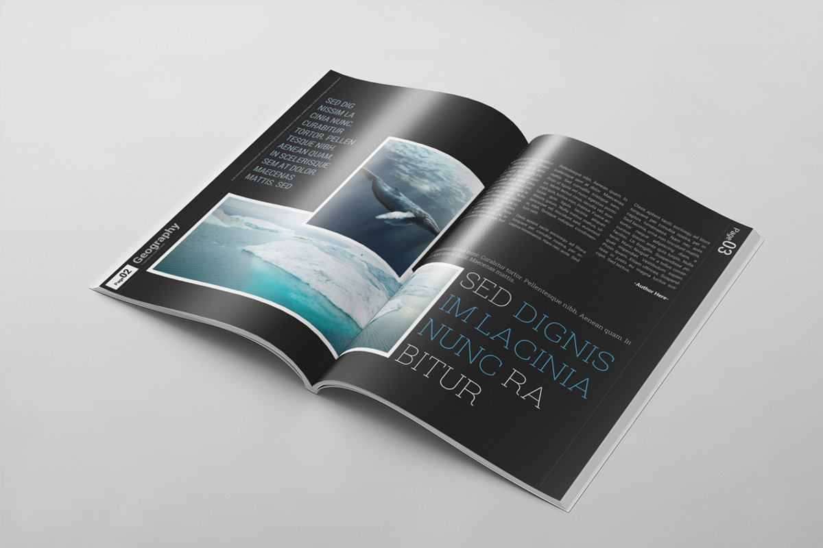 Magazine Template 42, a Magazine Template by pmvch (Photo 6 of 15)