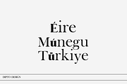 Clari- A fashionable font, a Serif Font by Dipto design (Thumbnail 6 of 6)