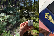 Leaf Imprints, Forest Scans & Paper, an Object Graphic by Purple (Thumbnail 19 of 20)