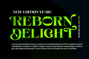 Brokline Serif Typeface, a Serif Font by Megatype (Thumbnail 4 of 16)