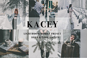 Mobile Lightroom Preset, an Action Add-On by The Red Pine (Thumbnail 1 of 7)