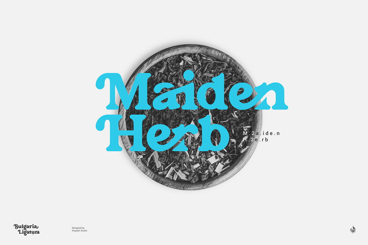 Bulgaria Ligatura, a Sans Serif Font by Aluyeah Studio (Photo 5 of 15)