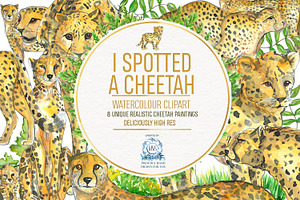8 Cheetah Realistic Watercolor PNG
