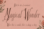 Glyphera Amber - Magical Story Font, a Handwritten Font by HypeWorksCo (Thumbnail 7 of 24)
