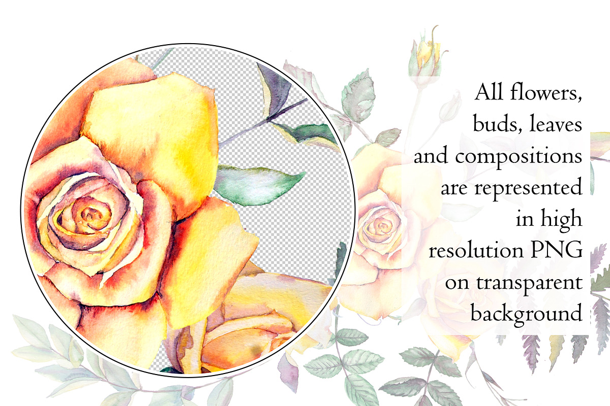 Watercolor Flowers Clipart - Roses, a Decorative Illustration by artabramova (Photo 2 of 10)