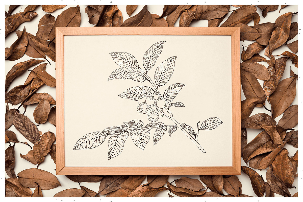 Branches, Leaves and Berries Vol. 2, a Seasonal Illustration by GVGraphics (Photo 3 of 12)