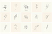 Botanical Hand Drawn Designs, Logos, a Seasonal Illustration by Designwork (Thumbnail 19 of 22)