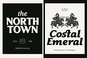 Elmont | 18 Fonts, a Serif Font by Skinny Type (Thumbnail 5 of 10)