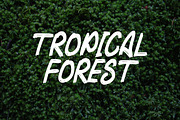 RAGAM GARIS - Brush Font, a Script Font by NTC Graphic (Thumbnail 2 of 9)
