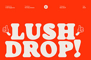 CS Chery Drawn, a Serif Font by Craft Supply Co. (Thumbnail 2 of 8)