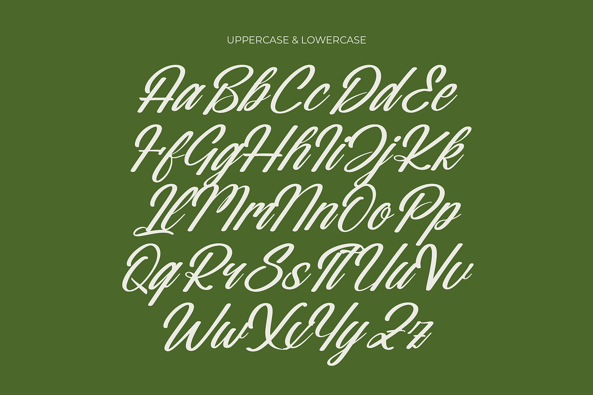 Nostalgic Pictures Calligraphy Font, a Script Font by Letterena Studios Script (Photo 12 of 15)