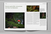 Deep Green Nature Brochure Template, a Brochure Template by Boris Cupac (Thumbnail 6 of 7)