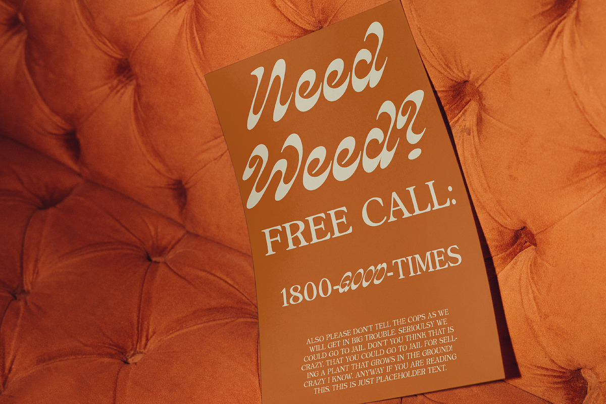 HEYDAY DISPLAY FONT, a Script Font by Tropical Type (Photo 2 of 11)